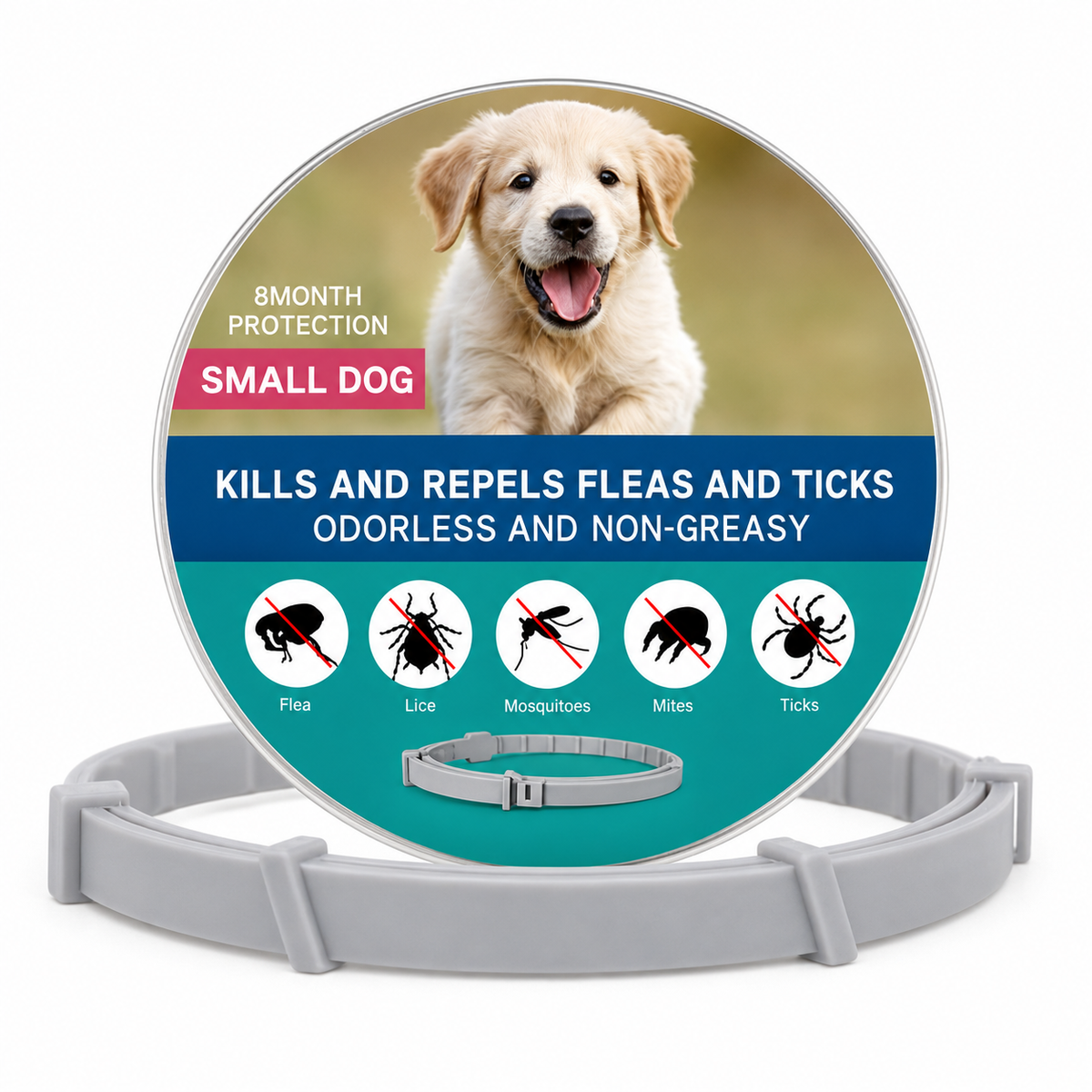 Small dog wearing TrendyPet's Zone flea and tick collar, 8-month protection collar for flea and tick prevention.