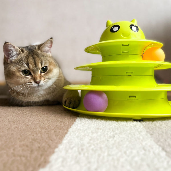 Customer pet photo