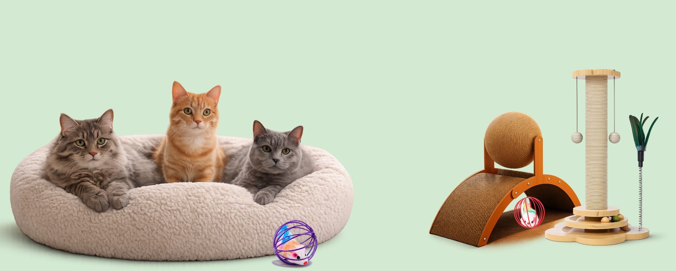 Three cats on a pink cushion with a cat tree and ball on a light green background TrendyPet's Zone
