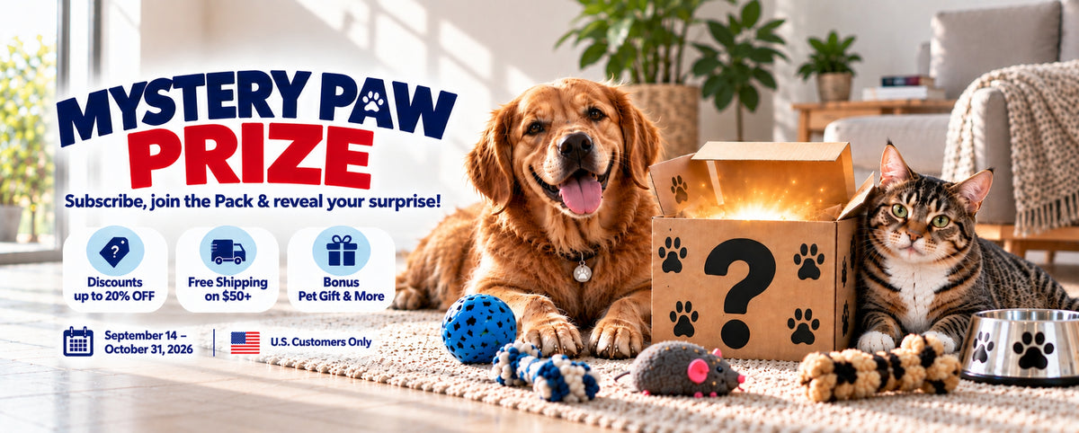 Promotional banner for a pet subscription mystery prize, featuring a golden retriever and a tabby cat in a cozy living room setting. A cardboard box with a question mark and paw prints sits between them, surrounded by colorful toy balls and a plush toy. TrendyPet's Zone