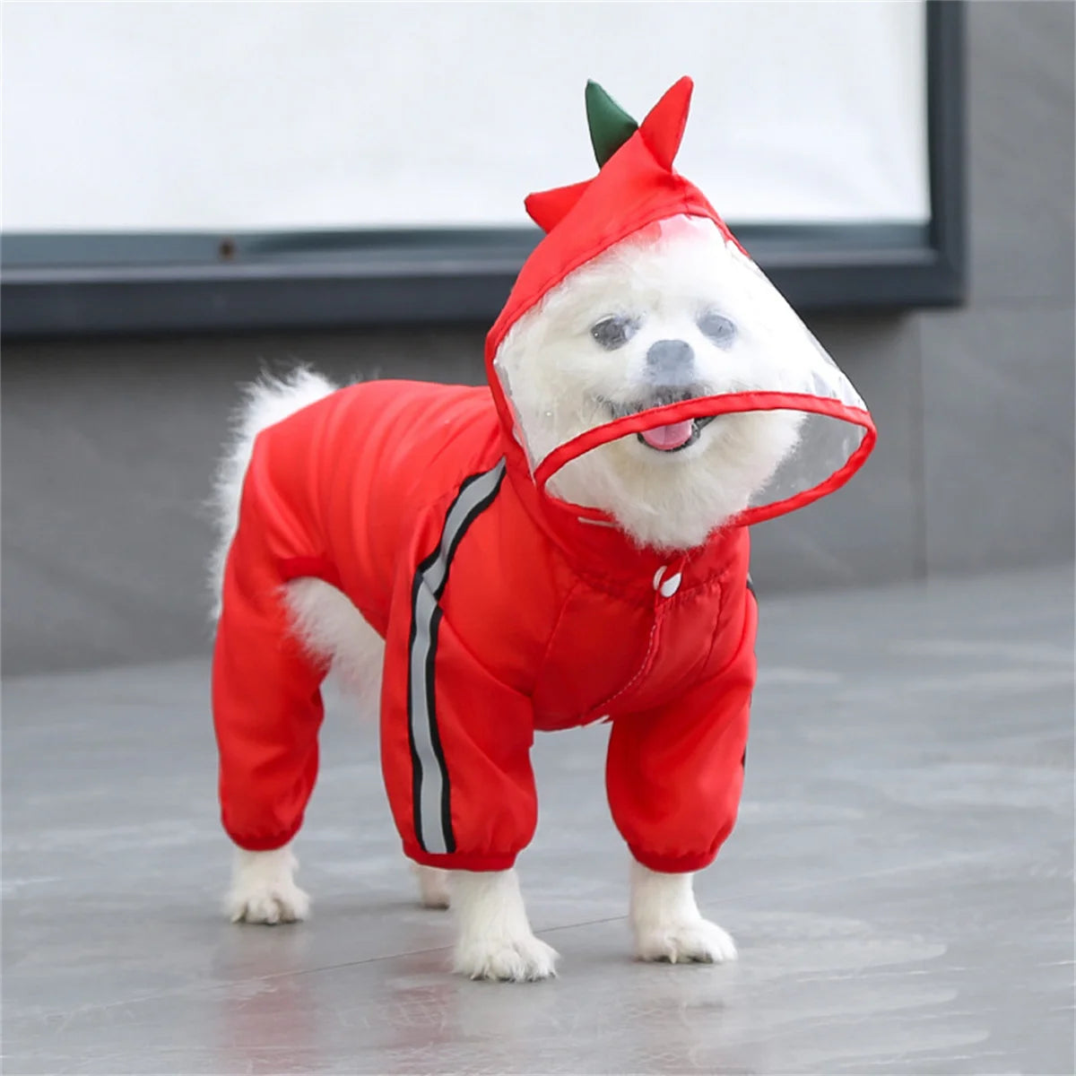 TrendyPet's Zone waterproof dog rain jacket with hood and reflective design, shown on a small dog outdoors in rainy weather.
