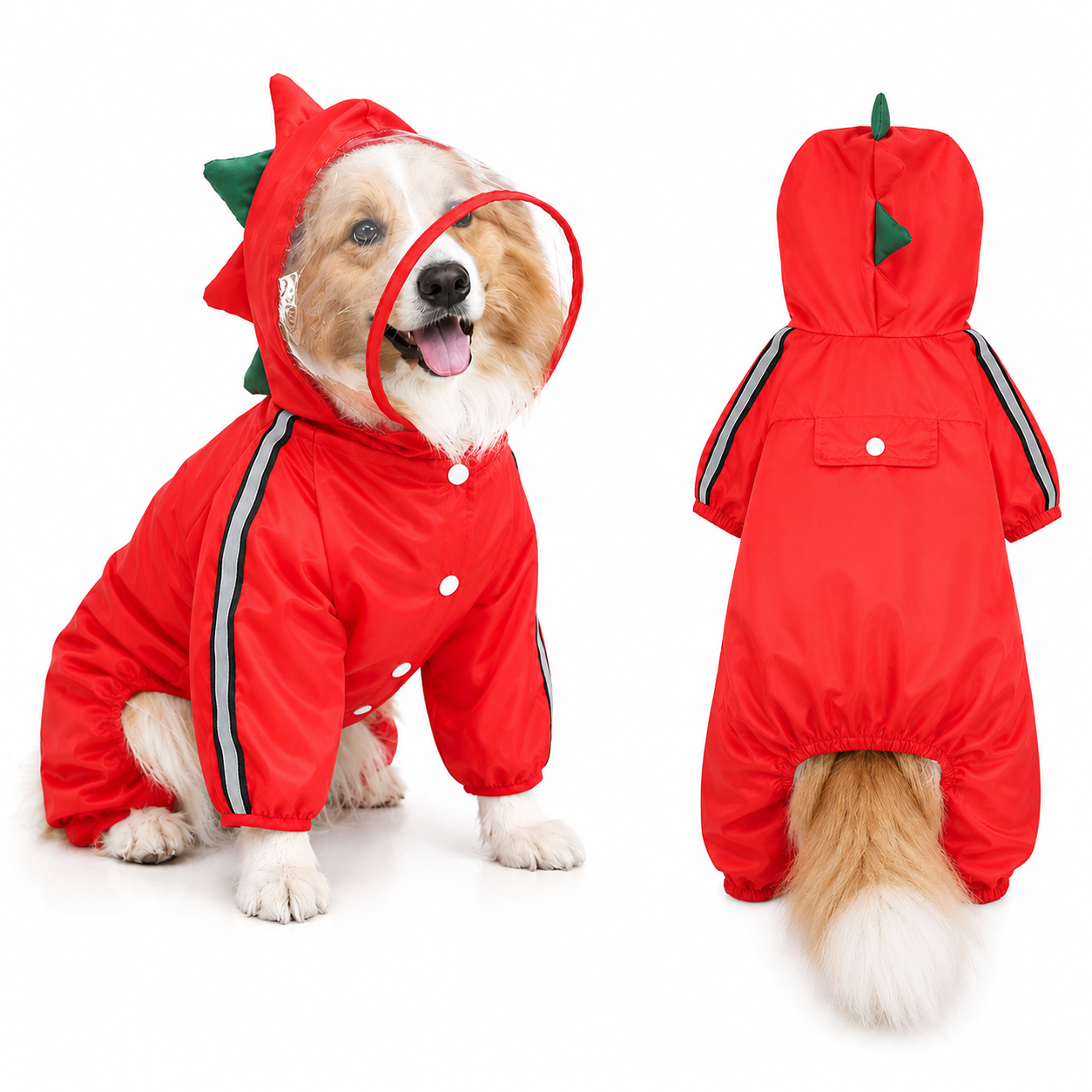 TrendyPet's Zone waterproof dog rain jacket with hood and reflective design, shown on a small dog outdoors in rainy weather.