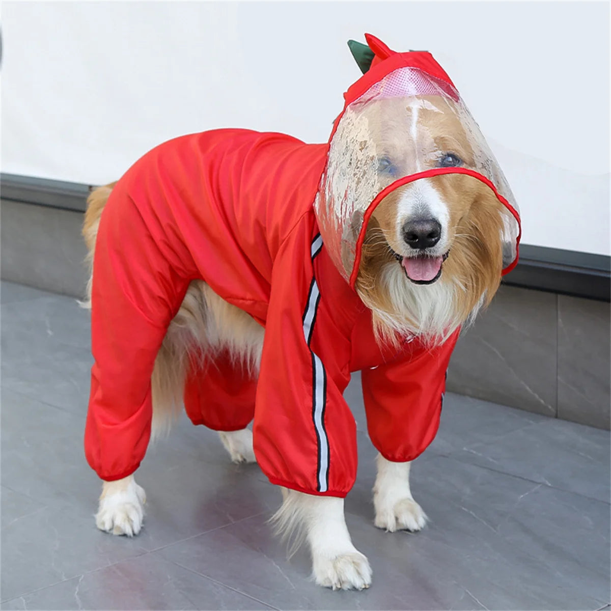 TrendyPet's Zone waterproof dog rain jacket with hood and reflective strips, designed to keep dogs dry in wet weather.