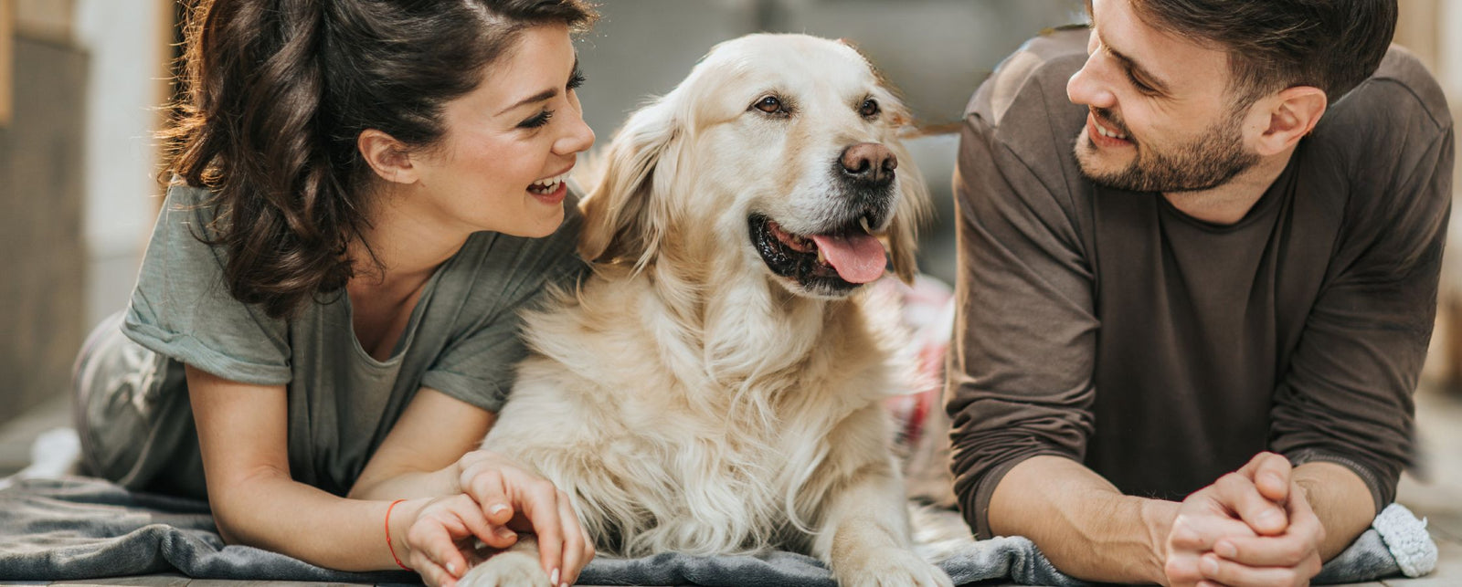 For Proud Pet Parents