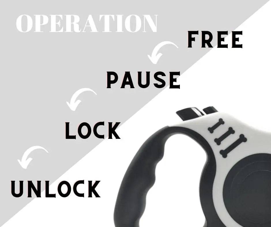 White Dog Leash 3m 5m Durable Leash Automatic Retractable Nylon Cat Lead Extension Puppy Walking Running Lead Roulette For Dog - TrendyPet's Zone