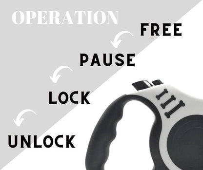 White Dog Leash 3m 5m Durable Leash Automatic Retractable Nylon Cat Lead Extension Puppy Walking Running Lead Roulette For Dog - TrendyPet's Zone