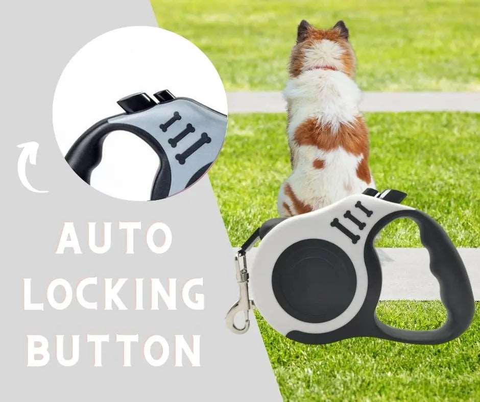 White Dog Leash 3m 5m Durable Leash Automatic Retractable Nylon Cat Lead Extension Puppy Walking Running Lead Roulette For Dog - TrendyPet's Zone