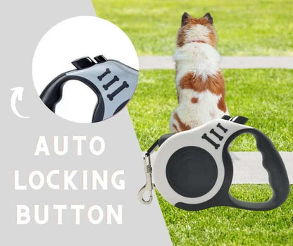 White Dog Leash 3m 5m Durable Leash Automatic Retractable Nylon Cat Lead Extension Puppy Walking Running Lead Roulette For Dog - TrendyPet's Zone