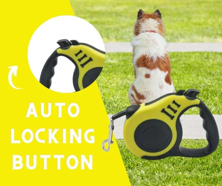 Yellow Dog Leash 3m 5m Durable Leash Automatic Retractable Nylon Cat Lead Extension Puppy Walking Running Lead Roulette For Dog - TrendyPet's Zone