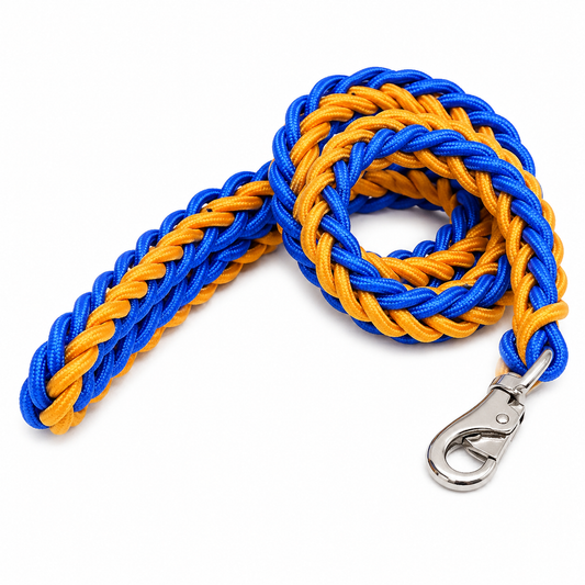 Yellow and blue nylon dog leash with a double-row adjustable collar for medium to large dogs, designed for strength and durability.