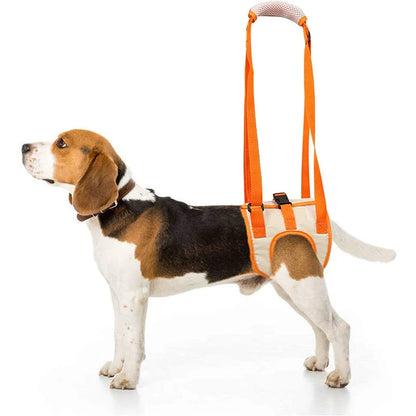 Adjustable TrendyPet's Zone dog sling hip support and rehabilitation sling, with padded straps and ergonomic design.