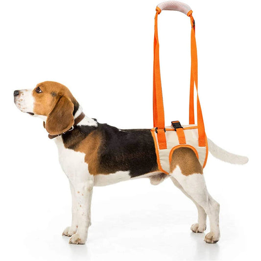 Adjustable TrendyPet's Zone dog sling hip support and rehabilitation sling, with padded straps and ergonomic design.
