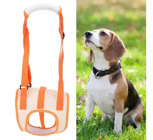 Adjustable TrendyPet's Zone dog sling hip support for rehabilitation, showing soft fabric and adjustable straps for comfort.