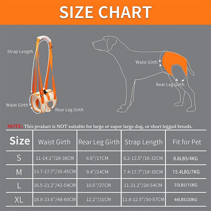 Adjustable dog sling hip support and rehabilitation sling by TrendyPet's Zone, showing padded straps and supportive design for injured dogs.
