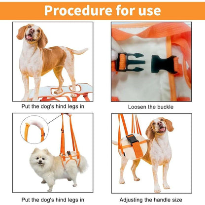 Adjustable dog sling for hip support and rehabilitation, by TrendyPet's Zone, showing the padded sling and adjustable straps.