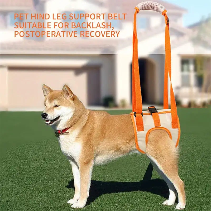 Adjustable dog sling hip support and rehabilitation sling from TrendyPet's Zone, designed to assist with mobility and recovery.