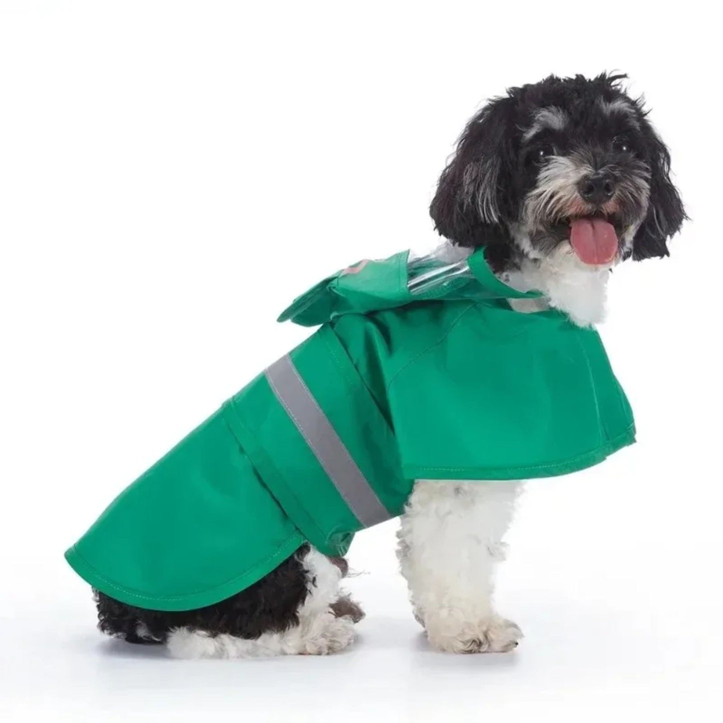 All-in-One Dog Raincoat by TrendyPet's Zone featuring fun frog design, reflective material, waterproof fabric, and stylish look.