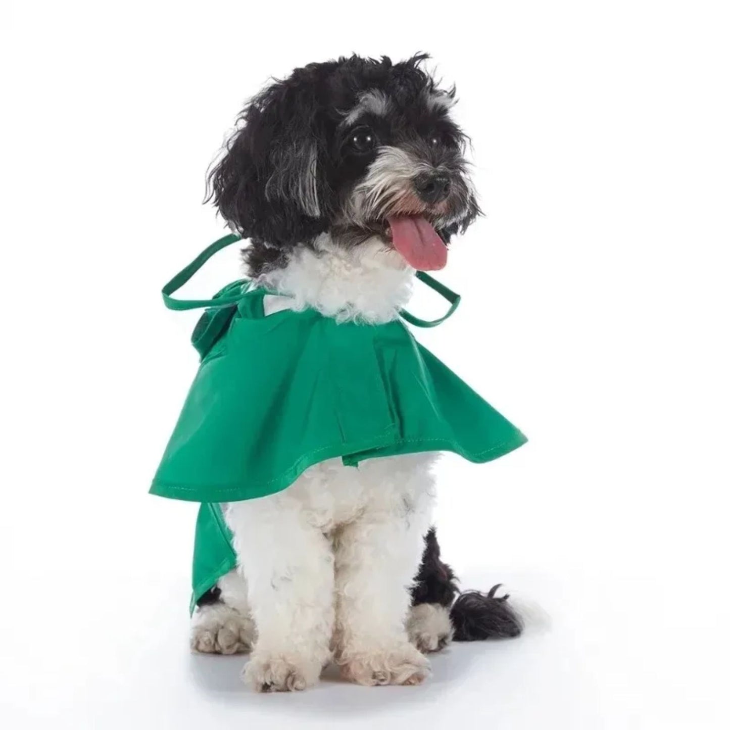 All-in-one dog raincoat by TrendyPet's Zone with fun frog design, reflective material, waterproof, stylish, and suitable for rainy days.
