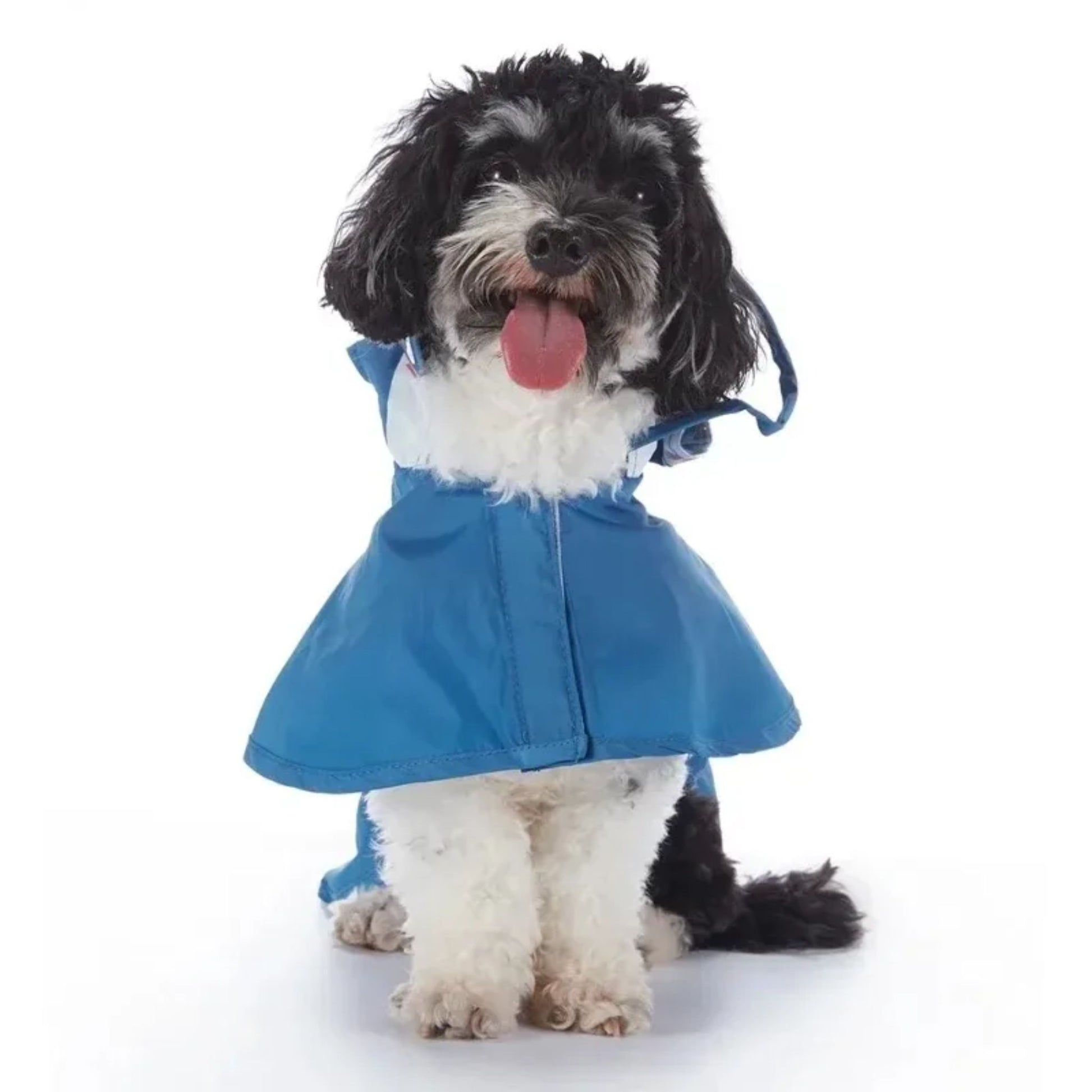 All-in-One Dog Raincoat by TrendyPet's Zone with fun shark design, reflective material, waterproof fabric, and stylish fit.