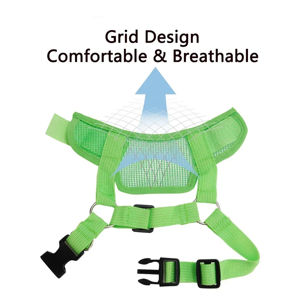 Anti-Bark Dog Muzzle Comfortable Mesh Design for All Breeds TrendyPet's Zone