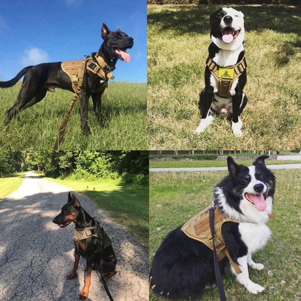 Army green nylon tactical dog harness and leash set with metal buckle, suitable for small and large dogs, durable pet gear.