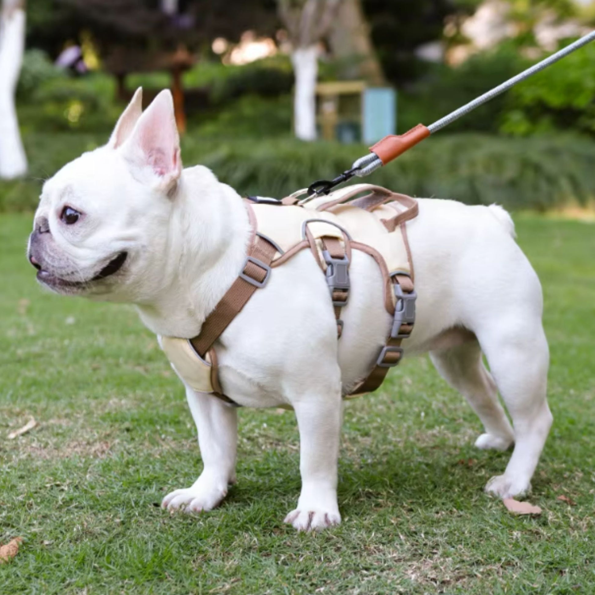 Beige reflective adjustable dog harness with no-pull design from TrendyPet's Zone, suitable for walking and training.