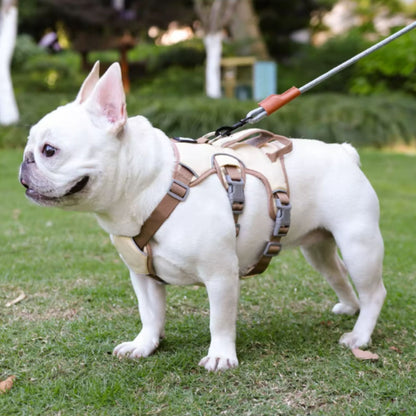 Beige reflective adjustable dog harness with no-pull design from TrendyPet's Zone, suitable for walking and training.
