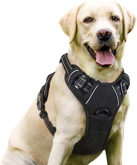 Black 1000D Oxford Cloth Reflective Pet Dog Harness Service Vest with Vertical Handle Adjustable Collars - TrendyPet's Zone