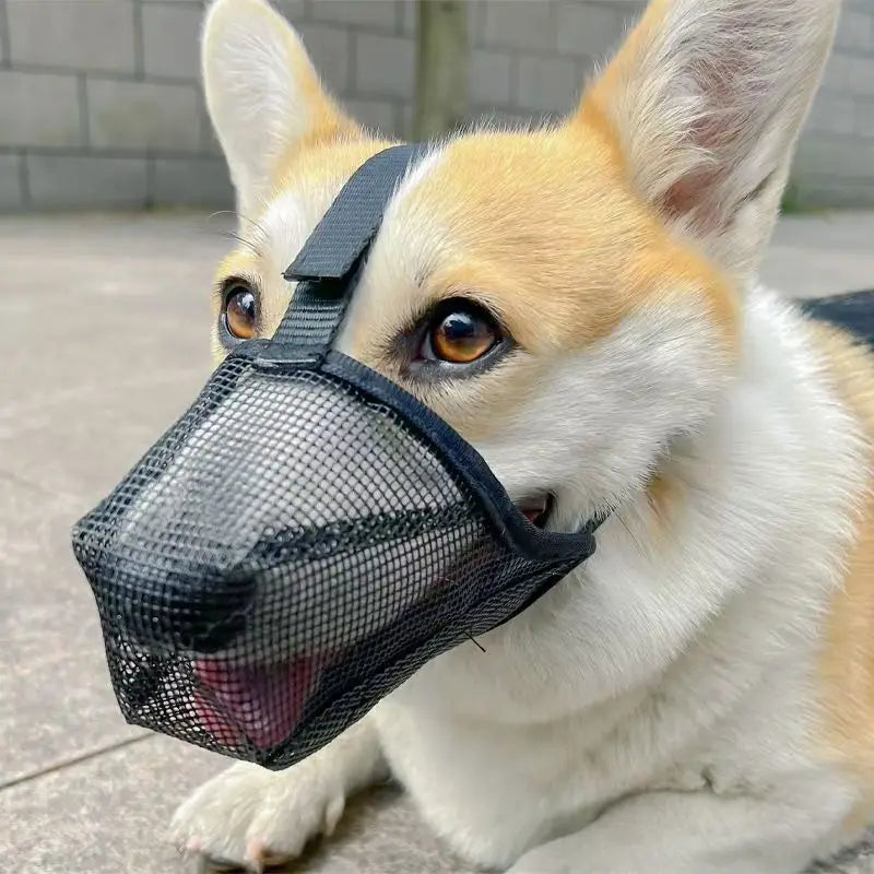 Black Adjustable Breathable Dog Mesh Muzzle Anti-Barking Accessory TrendyPet's Zone