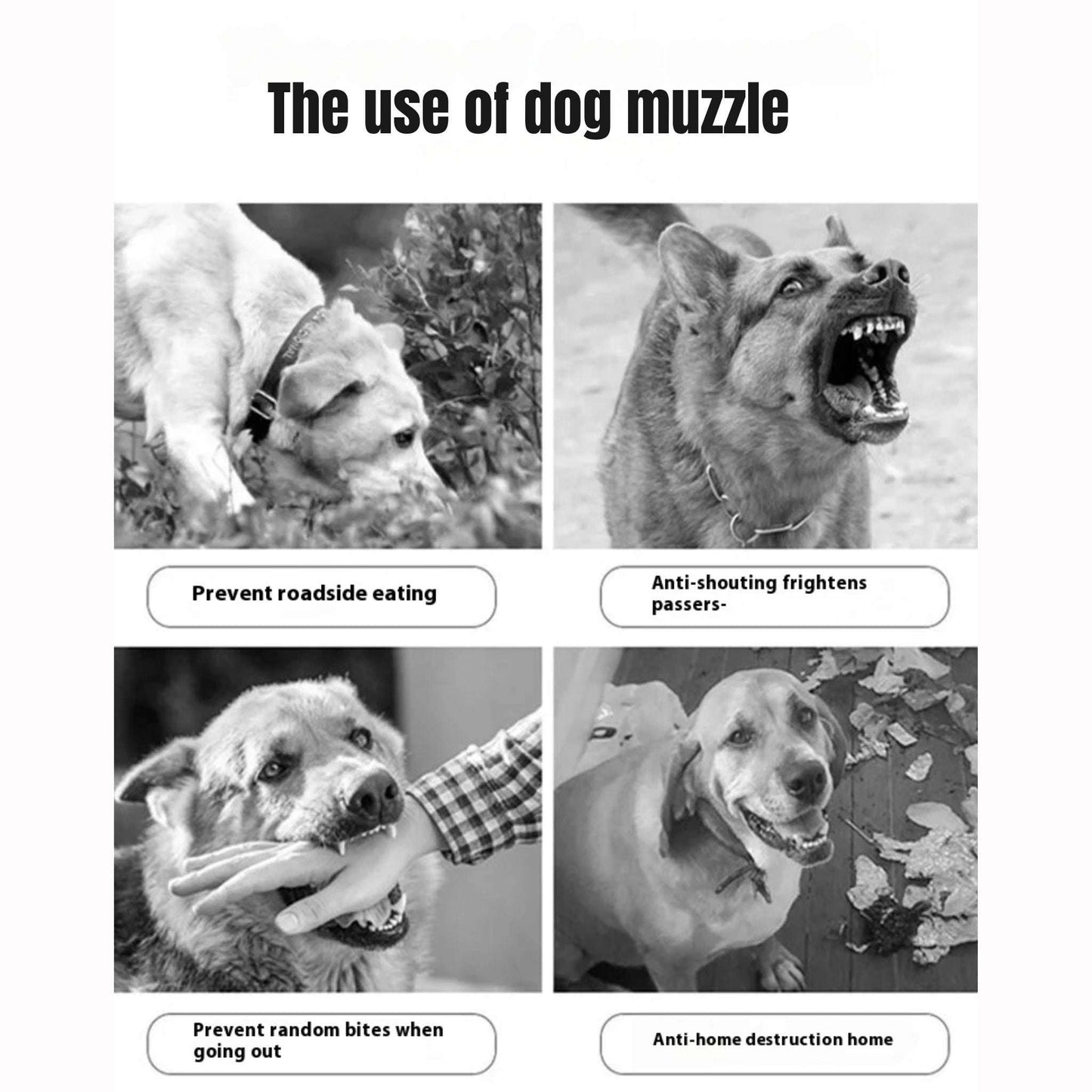 Black adjustable mesh dog muzzle for small to large breeds, designed by TrendyPet's Zone, with a secure strap and breathable mesh material.