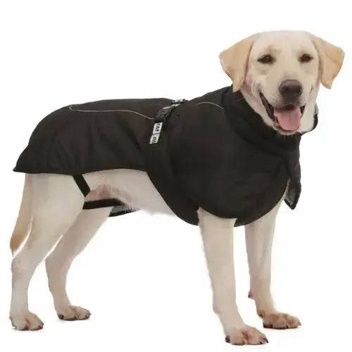 Black Big Dog Jacket Waterproof Winter Warm Clothes for Medium Large Dogs Coat Costume Outfits - TrendyPet's Zone