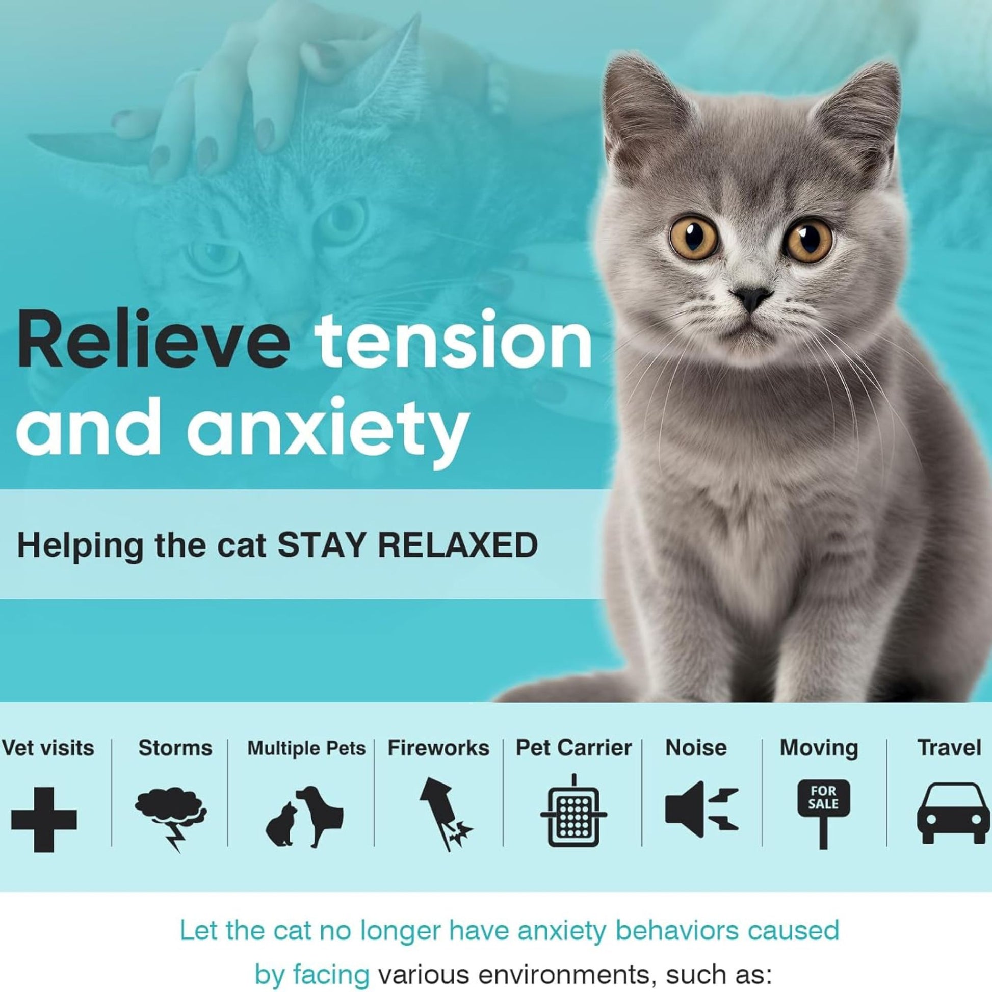 Black Cat Calming Collar 4Packs/30Days Relieve Anxiety Protection Retractable Collars Kitten TrendyPet's Zone