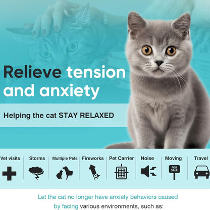 Black Cat Calming Collar 4Packs/30Days Relieve Anxiety Protection Retractable Collars Kitten TrendyPet's Zone