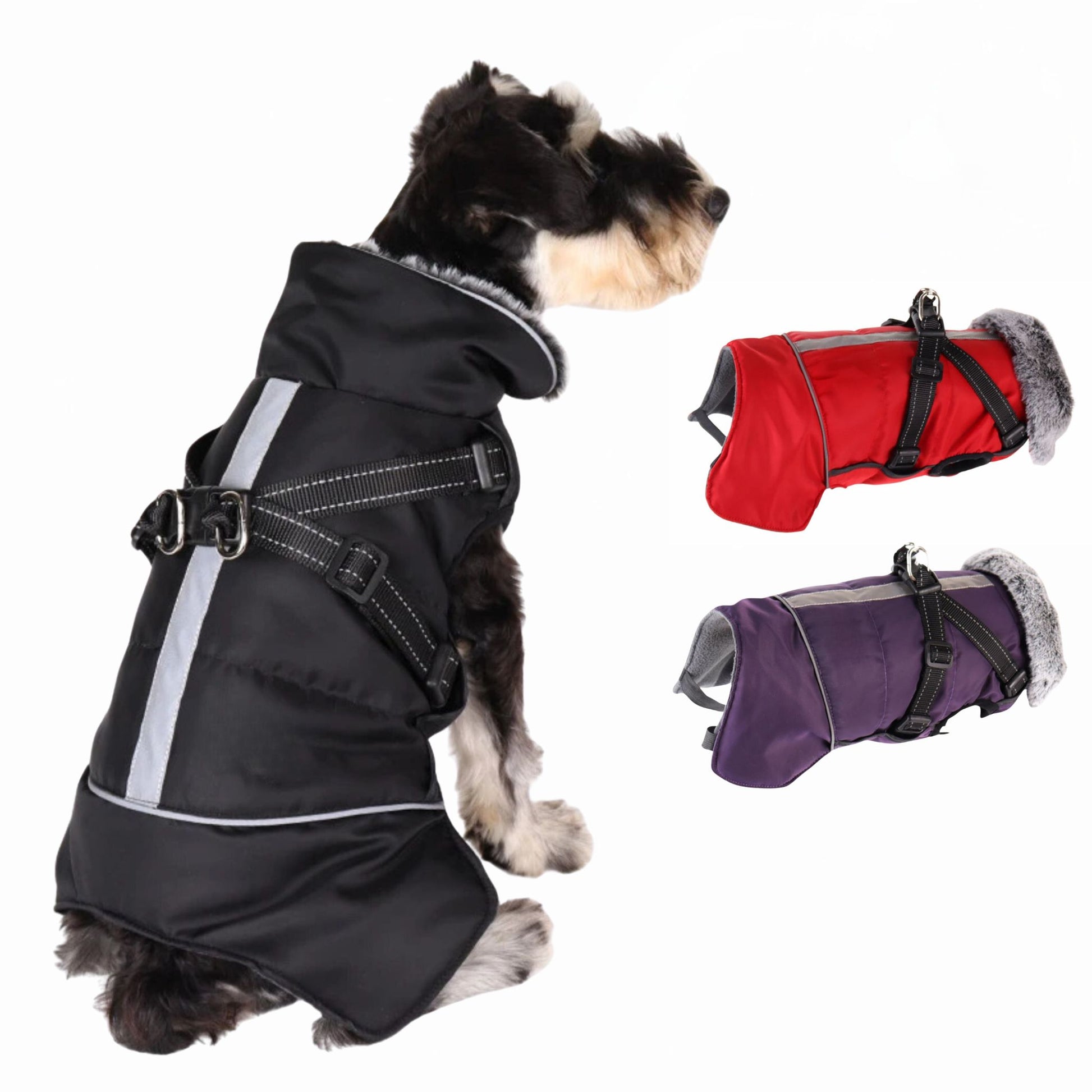 Black Cozy Dog Jacket with harness for weatherproof protection, designed by TrendyPet's Zone, suitable for outdoor walks.