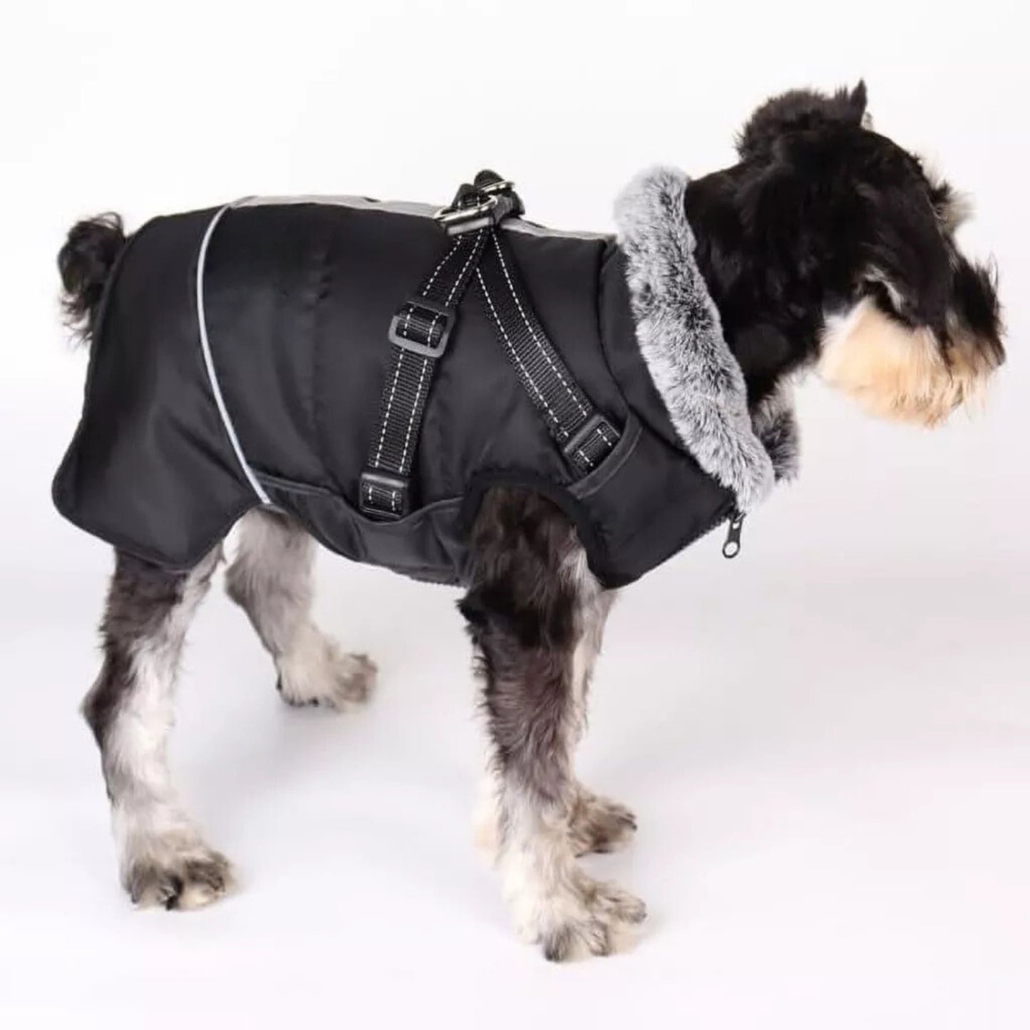 Black cozy dog jacket with built-in harness, weatherproof pet coat from TrendyPet's Zone, suitable for outdoor walks and cold weather.