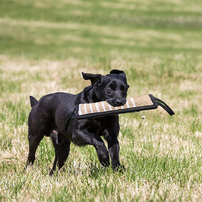 Black dog bite tug toy for dental health and teething relief by TrendyPet's Zone, durable and suitable for chewers.