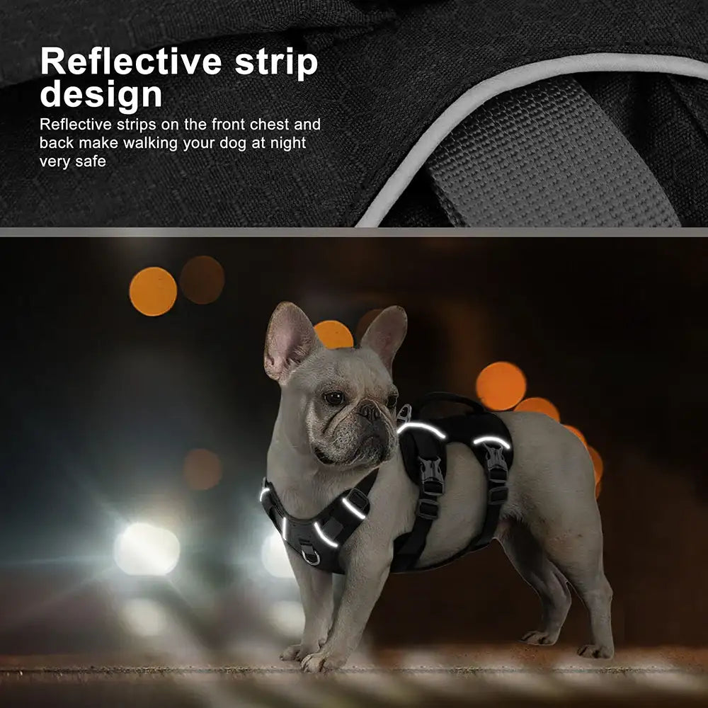 Black escape-proof reflective dog harness from TrendyPet's Zone, durable and adjustable for secure, comfortable fit.