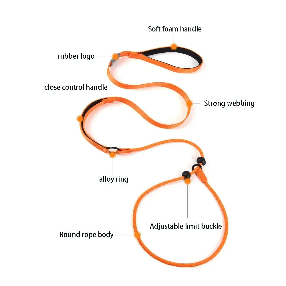 Green nylon no-pull dog leash with dual handles and slip design for control during walks, by TrendyPet's Zone.