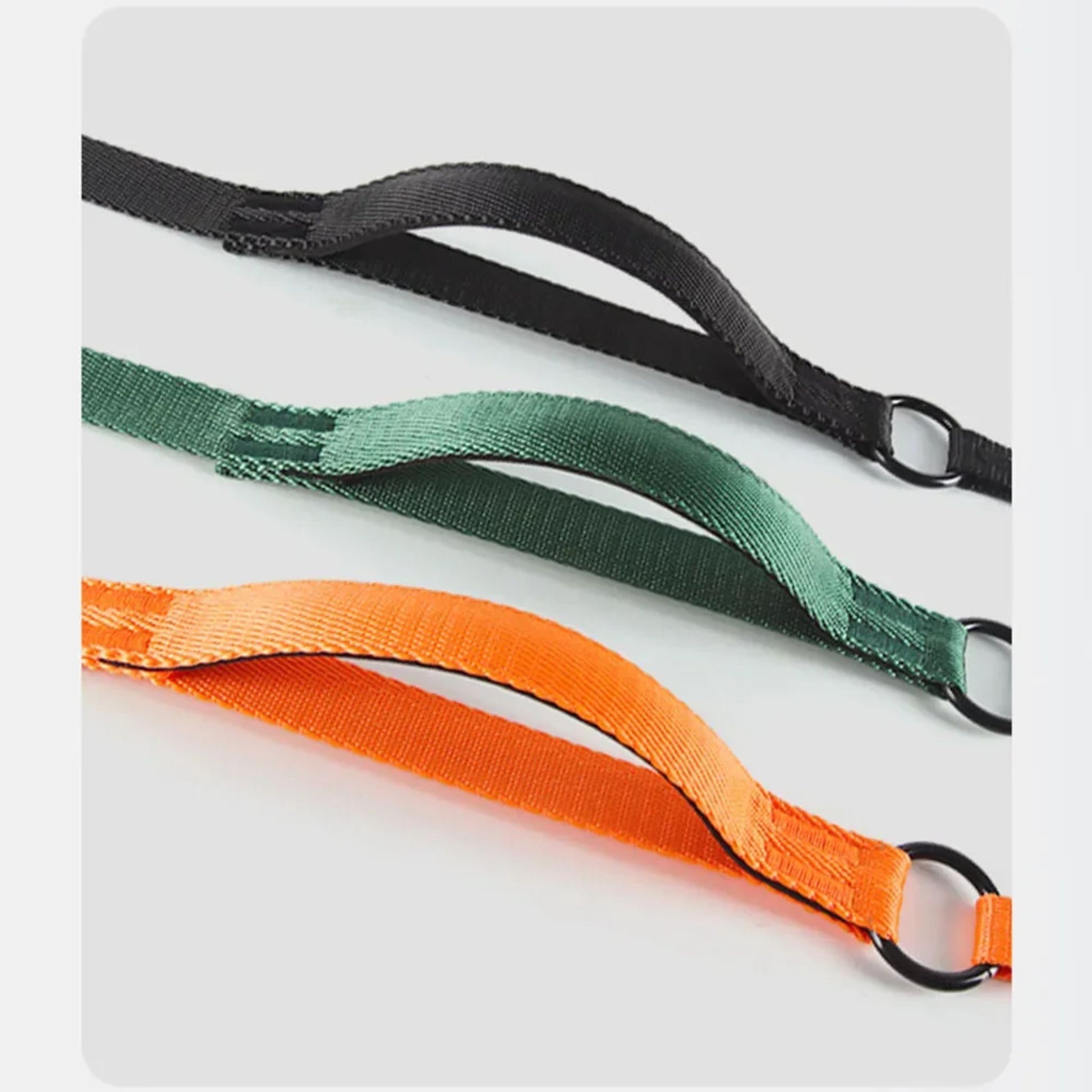 Green nylon no-pull dog leash with dual handles and slip design, ideal for controlled walks with TrendyPet's Zone.