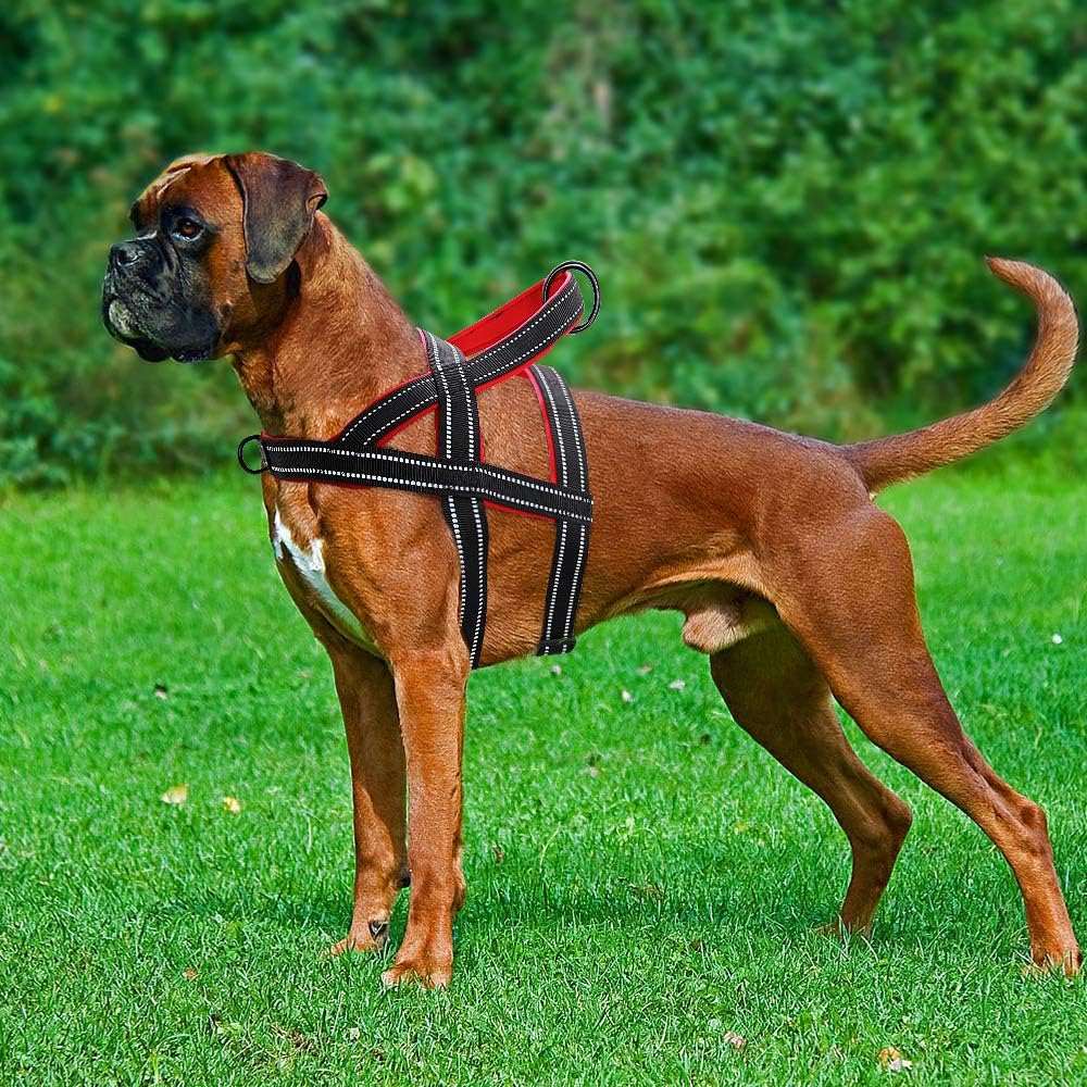 Black No Pull Nylon Dog Harness Reflective Adjustable Dog Harness Vest For Medium Large Dogs Walking Training Belt - TrendyPet's Zone
