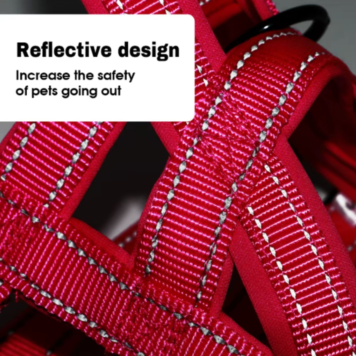 Blue No Pull Nylon Dog Harness Reflective Adjustable Dog Harness Vest For Medium Large Dogs Walking Training Belt TRENDYPET'S ZONE