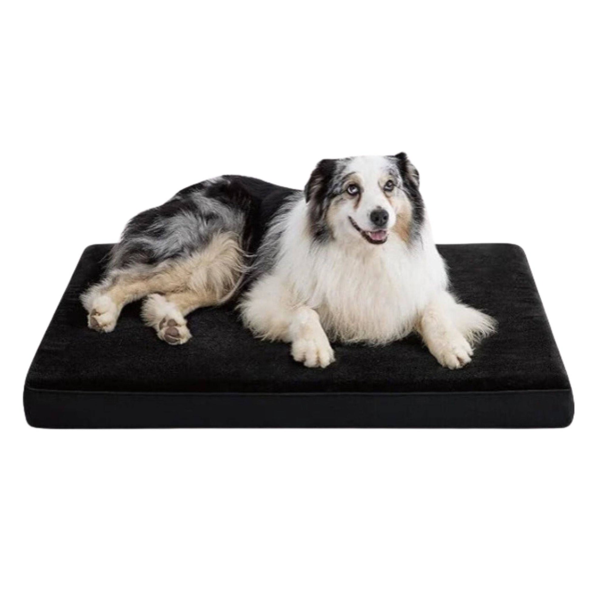 Black Orthopedic Waterproof Dog Bed with Removable Washable Cover and Nonskid Bottom for Crate, Memory Foam XL Size 41" × 29" × 3.5" - TrendyPet's Zone