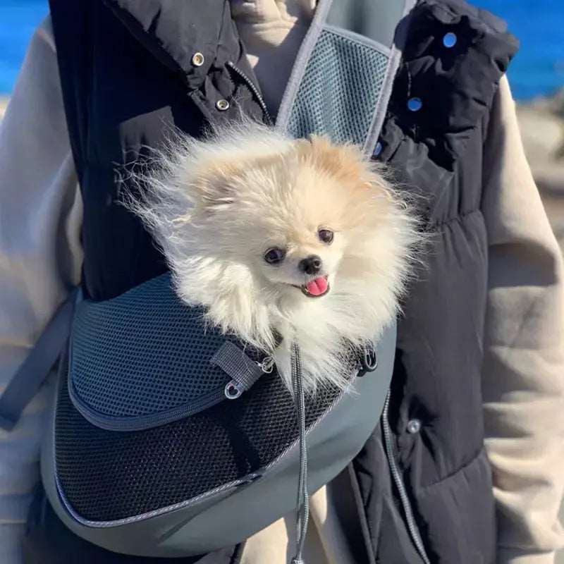 Black TrendyPet's Zone outdoor pet carrier bag with mesh sides, designed for dogs, puppies, cats, and kittens for travel and comfort.