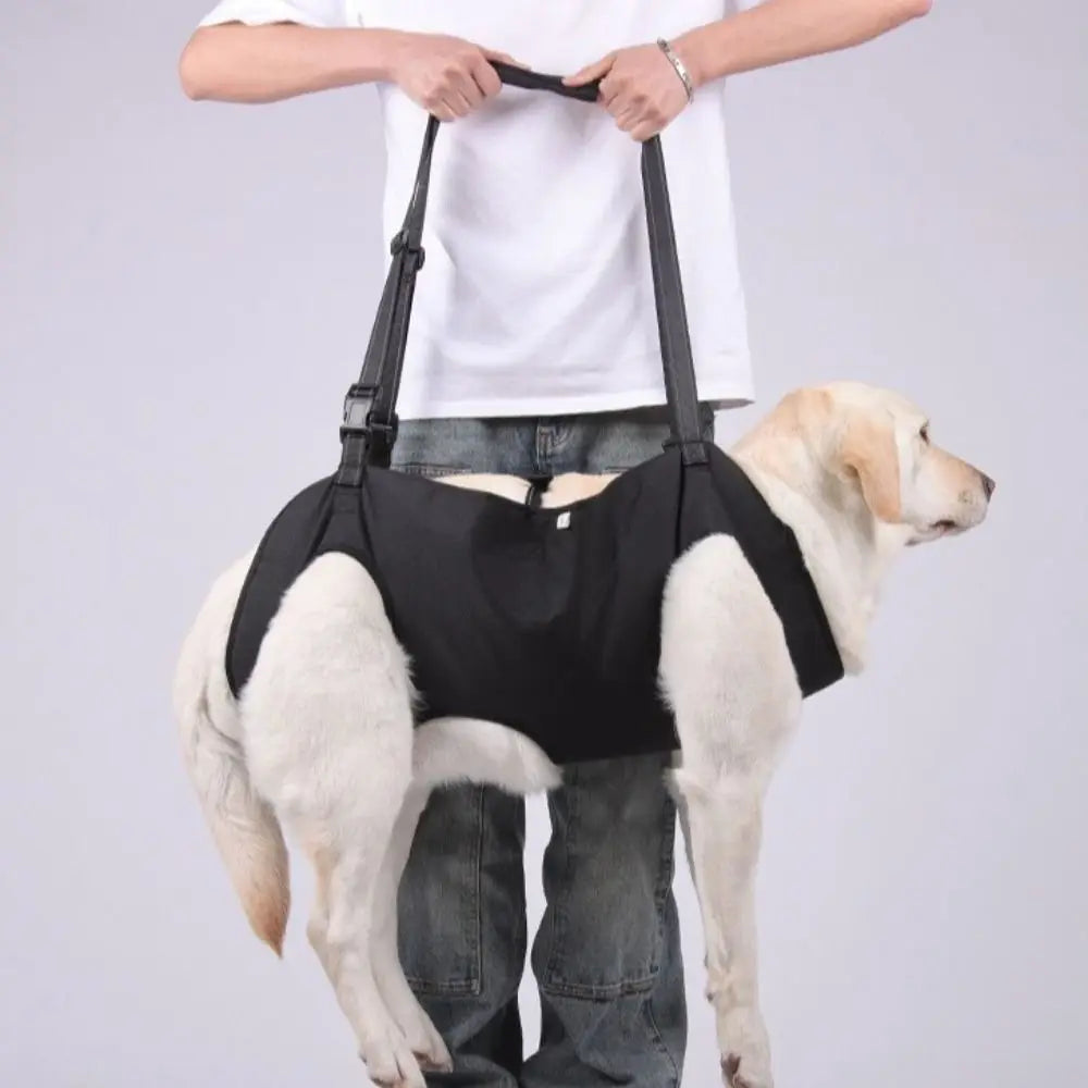 Cyan portable dog lift harness from TrendyPet's Zone with adjustable strap and soft lining for comfortable support.