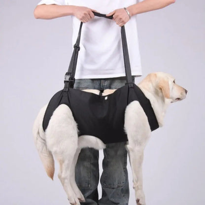 Cyan portable dog lift harness from TrendyPet's Zone with adjustable strap and soft lining for comfortable support.