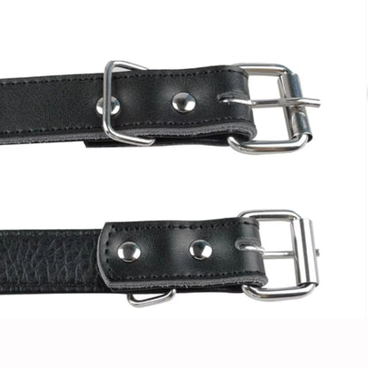 Black spiked leather dog collar from TrendyPet's Zone, adjustable anti-bite puppy collar with metal studs for small and medium dogs.
