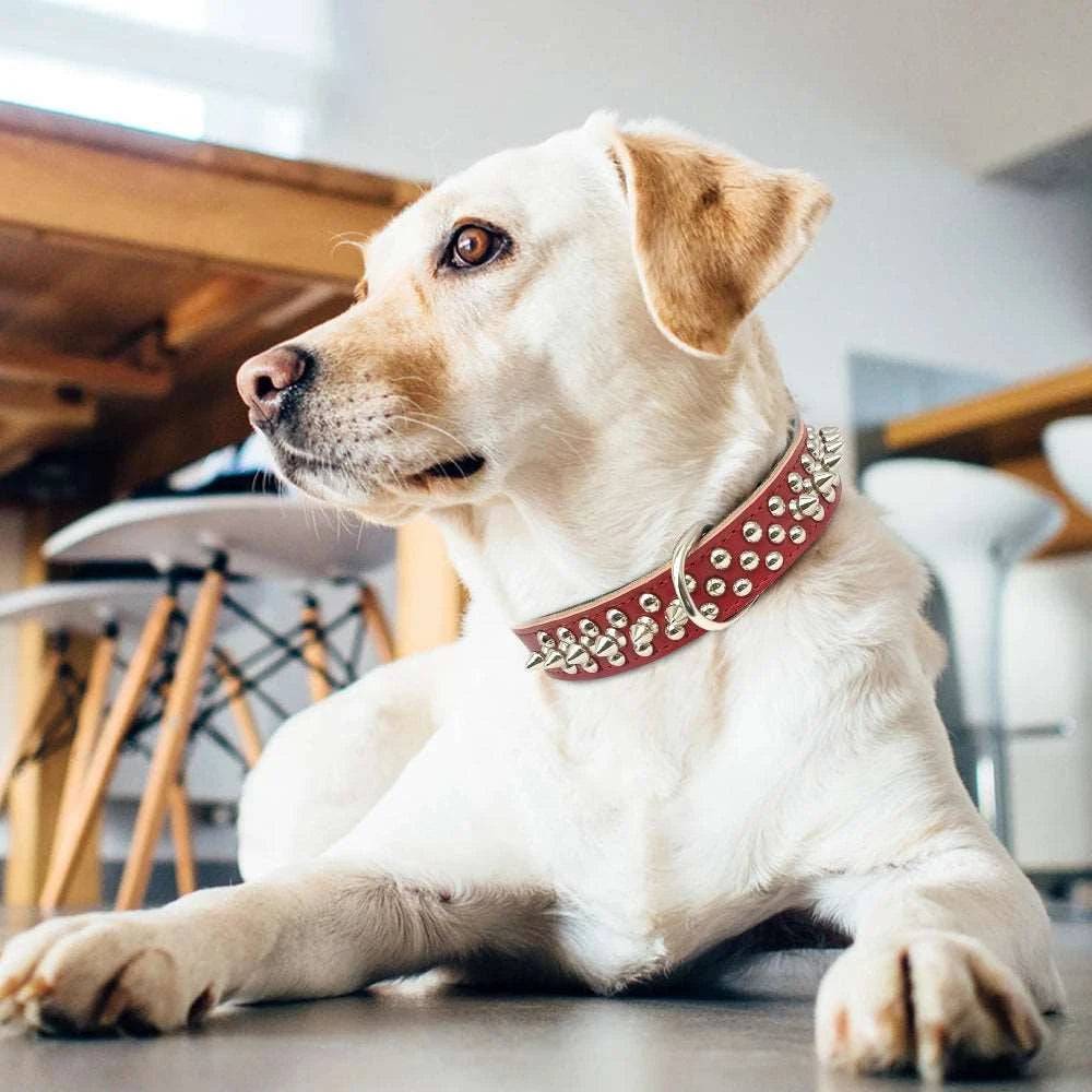 Black Spiked Studded Leather Dog Collar Adjustable Anti-Bite Puppy Neck Strap Collars For Small Medium Dogs - TrendyPet's Zone