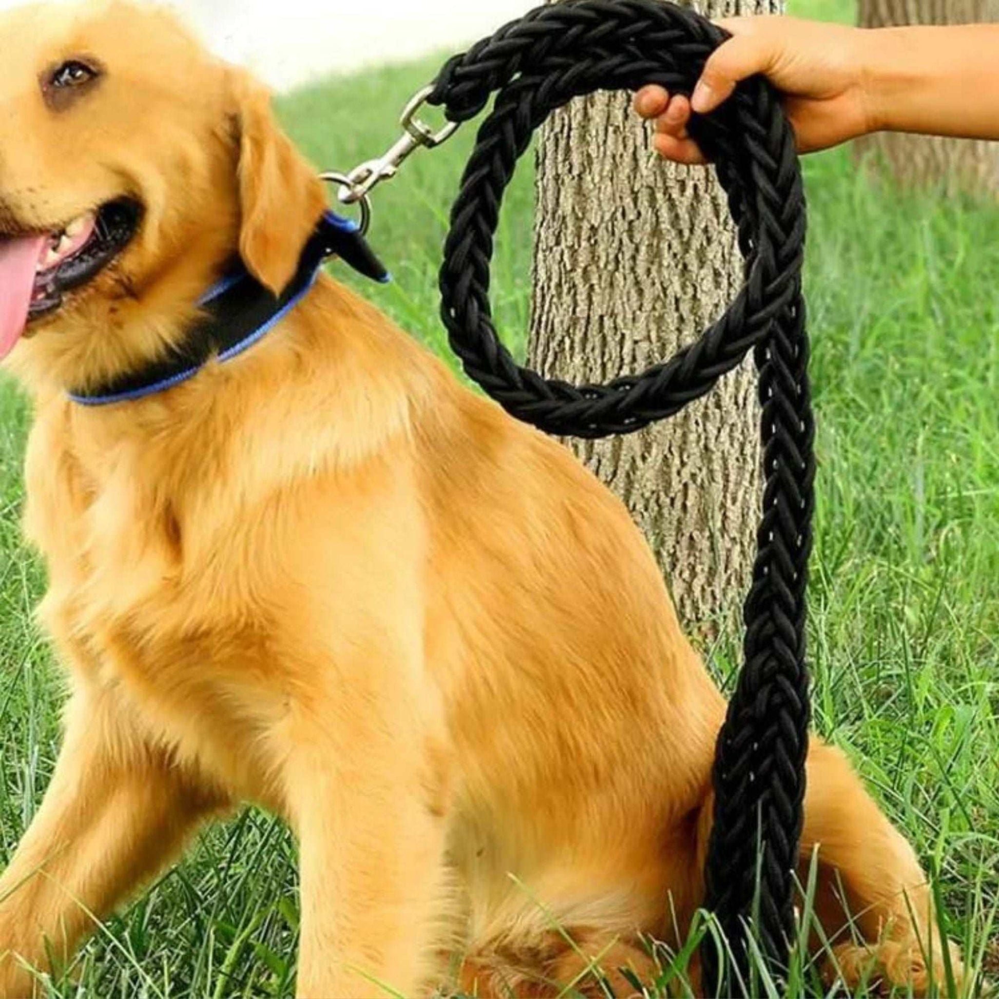 Black Super Strong Coarse Nylon Dog Leash Double Row Adjustable Collar For Medium Large Dogs - TrendyPet's Zone