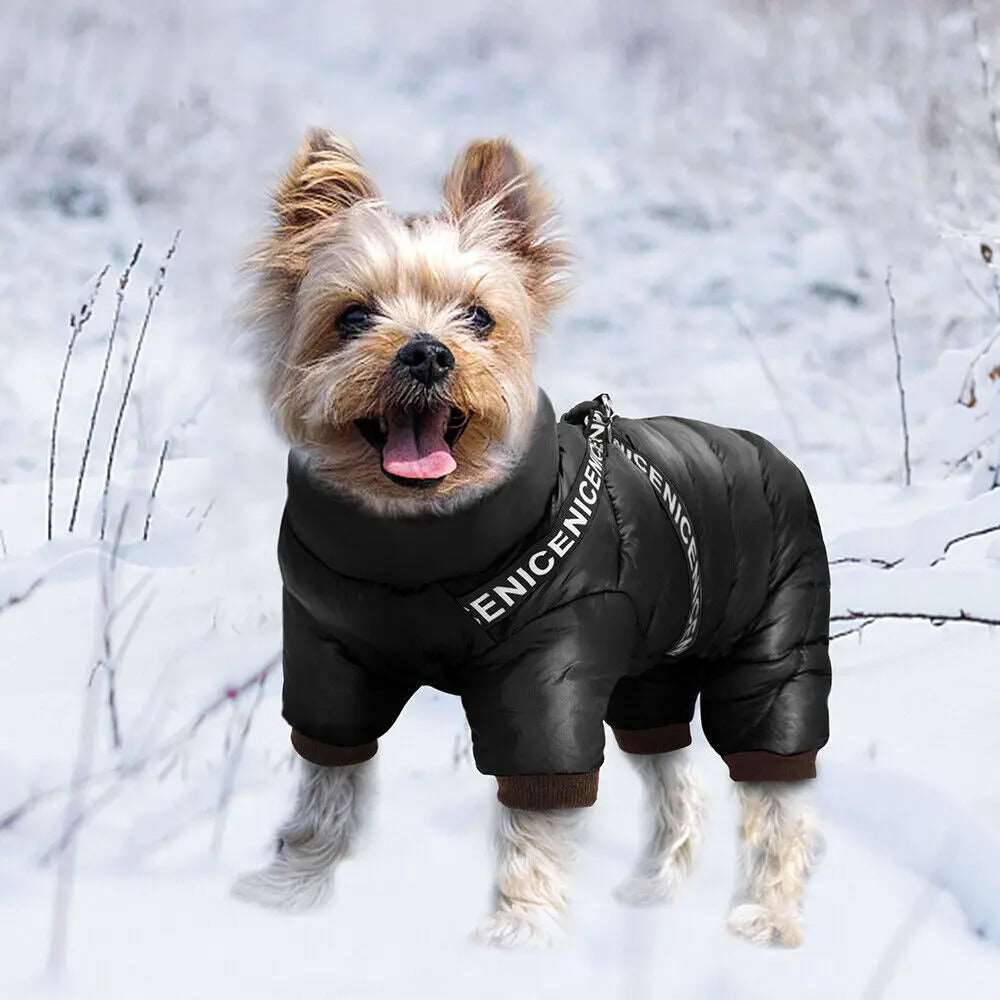 Black Super Warm Waterproof Dog Coat with Harness - TrendyPet's Zone