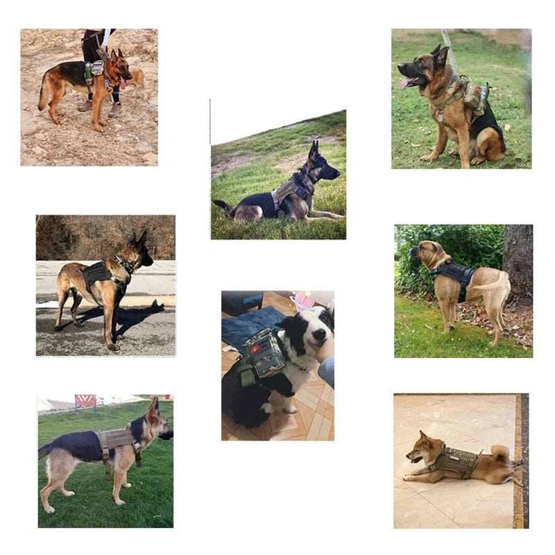 Black Tactical Dog Pet Vest With Bags Military Harness Leash Set - TrendyPet's Zone